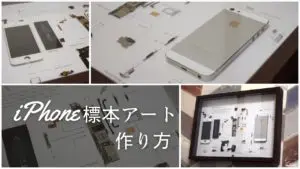 DIY】iPhone標本アートの作り方(自作)｜使わなくなったiPhone 5を分解